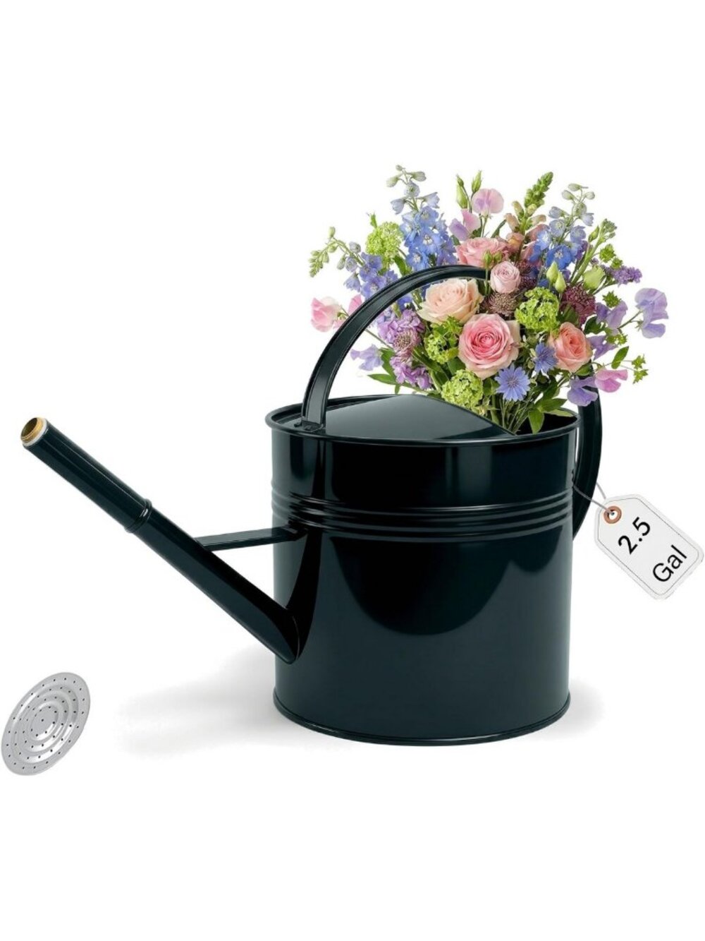 Large 2.5 Gallon Dark Green Metal Watering Can - Galvanized for Indoor/Outdoor
